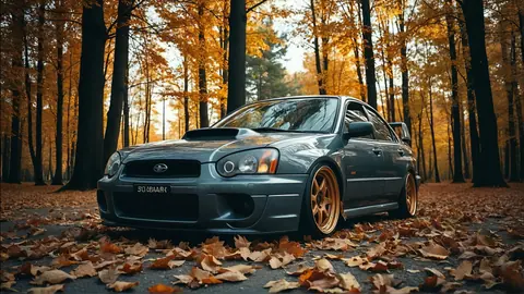 Autumn Subaru WRX in Golden Forest - backiee