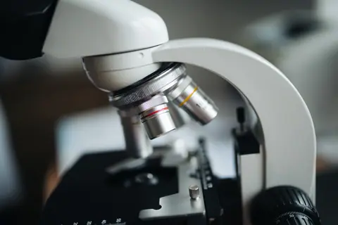 Close-up of the objective lenses of a microscope