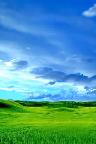 iwalls-061