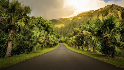 Ho'omaluhia Botanical Garden Oahu, Hawaii - backiee