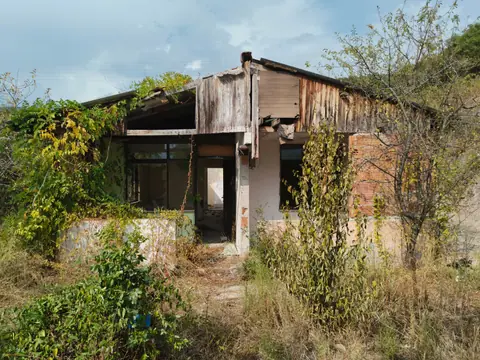 An abandoned, dilapidated house in a rural area overrun with wild vegetation.