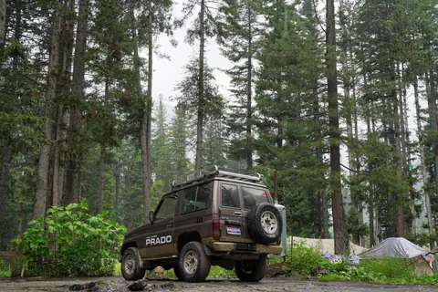 A rugged Toyota Prado SUV parked amidst a lush and dense evergreen forest, ideal for offroad adventures.