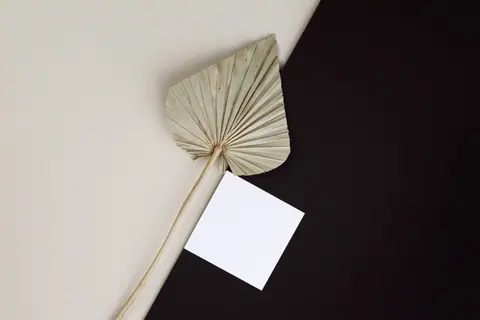 Elegant minimalist flat lay with a dried palm leaf and blank white card on contrasting surfaces.