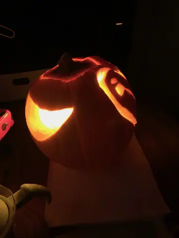 Barn Owl Jack O Lantern Right Side
