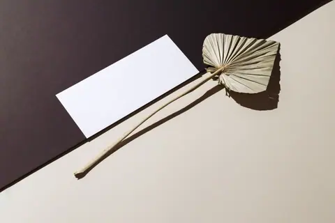 Abstract composition with dried palm leaf against black and beige background. Perfect for modern design.