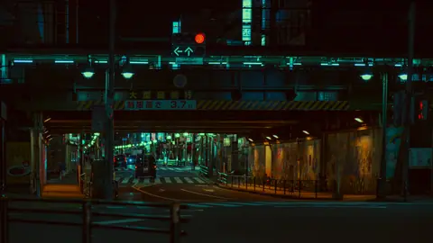 Experience the vibrant night life under Tokyo's neon lights in Shinjuku City.