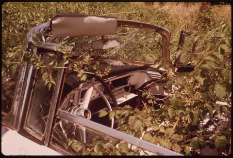 NATURE RECLAIMS ABANDONED CAR ALONG THE MINEOLA HIGHWAY LEADING INTO TYLER IN NORTH-EASTERN TEXAS - NARA - 547747
