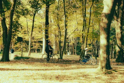 A father and daughter enjoy a sunny day cycling through a scenic park with tall trees.