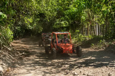 Two red ATVs driving through a lush forest on a sunny day, showcasing adventure and exploration.
