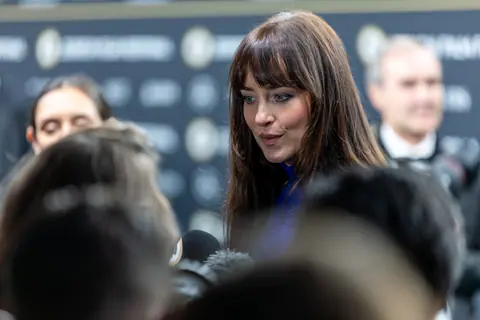 Dakota Johnson on the Green Carpet at the 2025 Zurich Film Festival 10