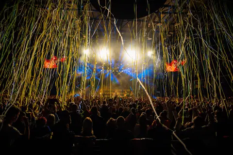 Dynamic concert scene with audience, vibrant lights, and cascading confetti. Captures the energy and excitement of live music.