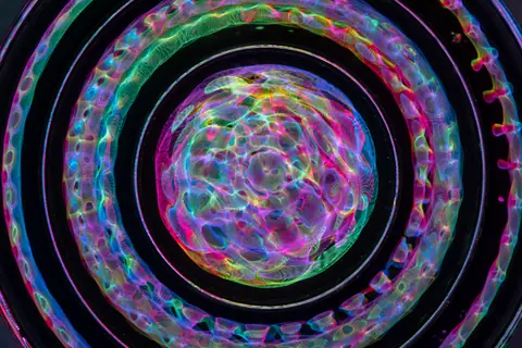 Colorful concentric circles creating a mesmerizing abstract visual effect against a dark background.