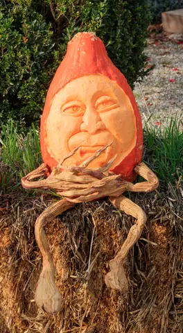 Carved pumpkin - Ludwigsburg 01