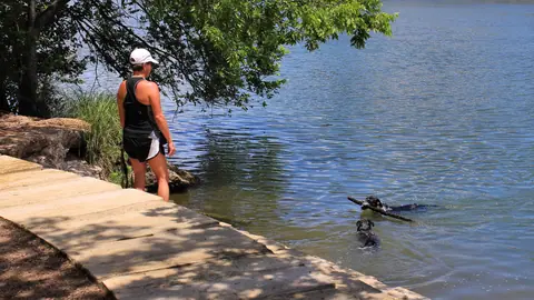 Butler Hike and Bike Trail Austin Leash Free 2017