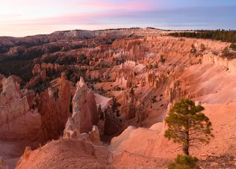 Sunrise Point Bryce Canyon November 2018 002