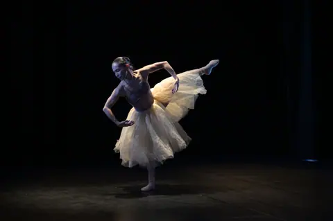 Elegant ballerina in a tutu performing a graceful dance on stage, showcasing ballet artistry.