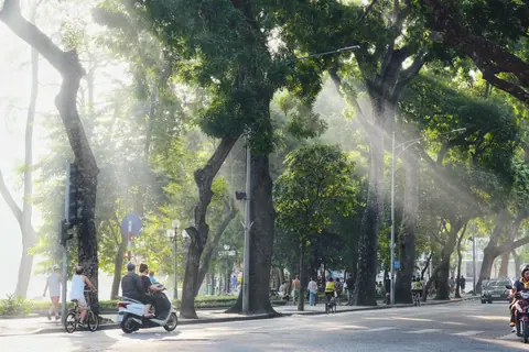 Morning sunlight filters through trees on a vibrant street in Hoàn Kiếm, Hanoi, capturing urban life and travel.