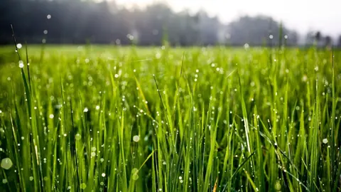 Wallpapers_PACK_1_-_24_(110)