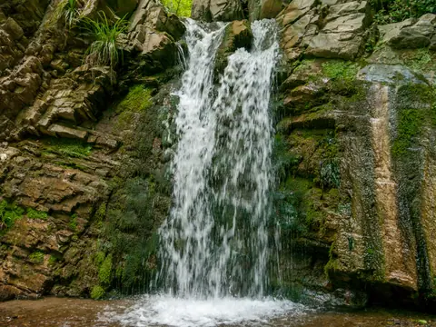 Waterfall, Oguz ( 1090522)