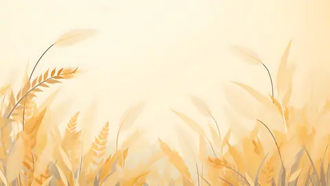 Pale_Yellow_Oats_2_-_TV_Art