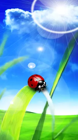 nokia-5800-wallpaper-360-640-448