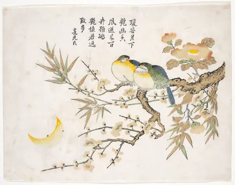 Sleeping Birds