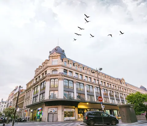 A classic city building with birds soaring in the sky, perfect urban aesthetics.