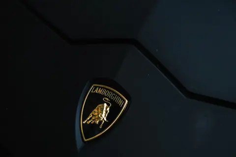 Detailed close-up of a Lamborghini car emblem on a sleek, dark hood.