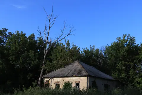 An abandoned house stands amidst lush green trees under a clear blue sky.