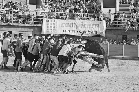 220717 6393 forcao against charging bull