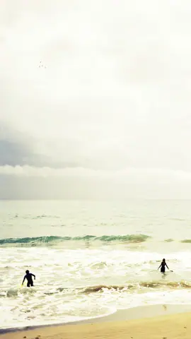 Background_(110)
