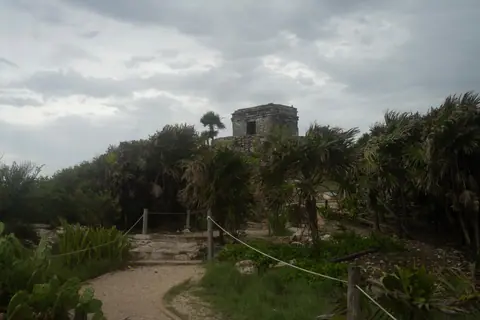 Discover the ancient Mayan temple ruins amidst lush vegetation in Tulum, Mexico.