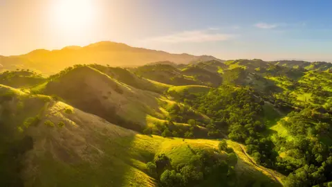 Sunlit Green Hills and Valleys in a Golden Landscape - backiee