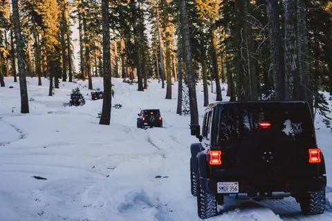 Jeeps driving through a snow-covered forest in a winter adventure scene.