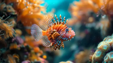 Lionfish_-_TV_Art