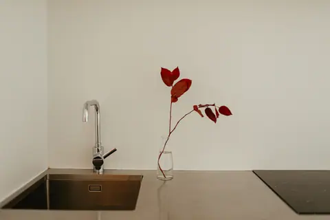 Stylish modern kitchen setup with a faucet, sink, and vase with red leaves on a sleek countertop.