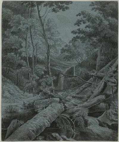 Waterfall and Fallen Logs in Forest