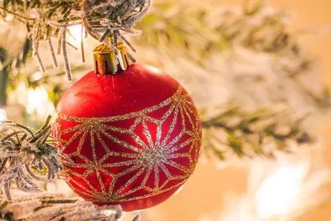Elegant red and gold Christmas ornament hanging on a snow-covered branch.