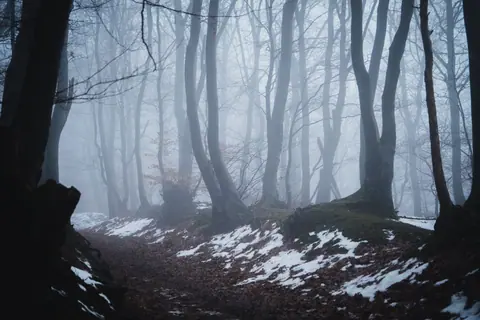 A hauntingly beautiful misty forest with snow patches and bare trees.