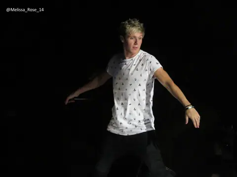 One Direction at the New Jersey concert on 7.2.13 IMG 4318