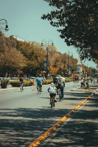 A group of people cycling on a sunny day in a tree-lined city street, perfect for outdoor recreation and urban living themes.