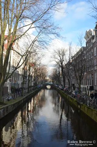 The Best City In The World