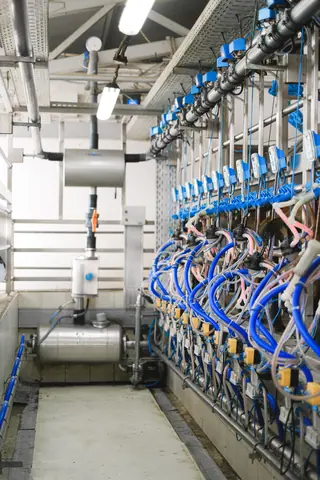 Detailed view of industrial machinery in a modern facility, showcasing technology and organization.