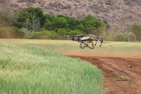 A drone flying over a vibrant green crop field, showcasing modern agricultural technology.