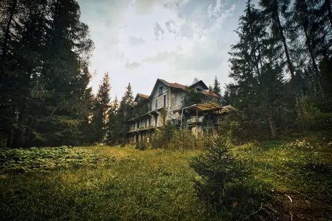 Mysterious abandoned house surrounded by dense forest and lush greenery.