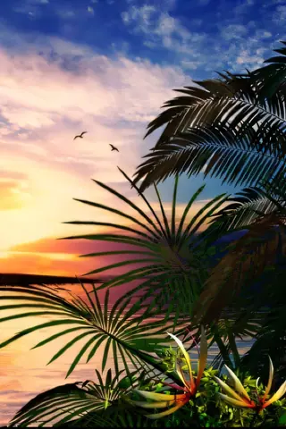 tropical_sunsets